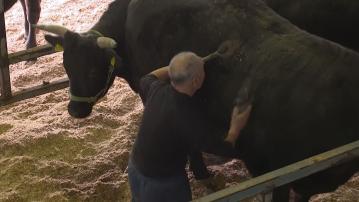 副總理何立峰據報抵日訪問　或磋商中國恢復進口日本牛肉