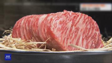 副總理何立峰訪日　日方宣布推進恢復日本牛肉對華出口協定生效