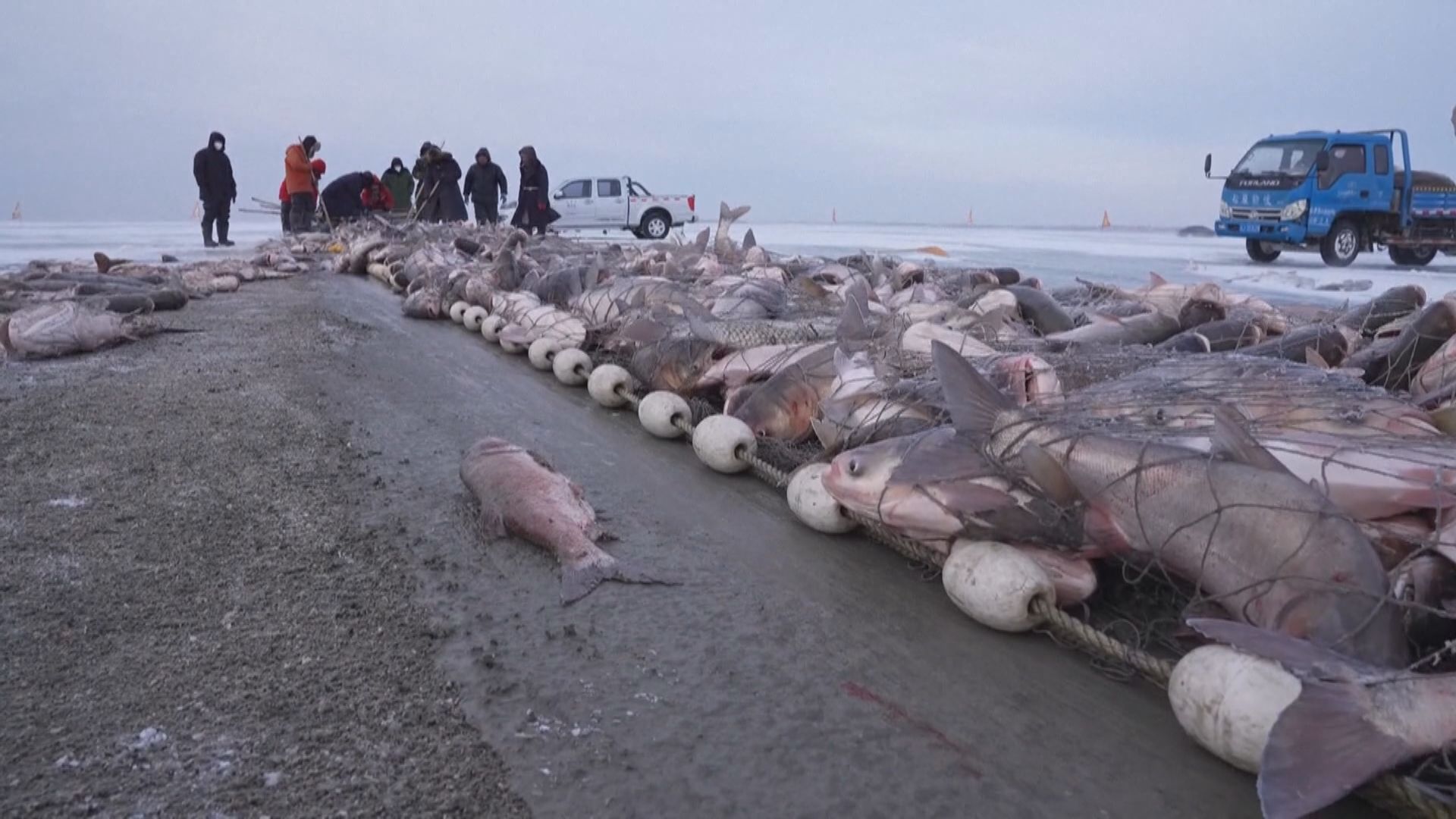 日本排放核污水後 中國漁船據報仍在日本附近海域捕魚