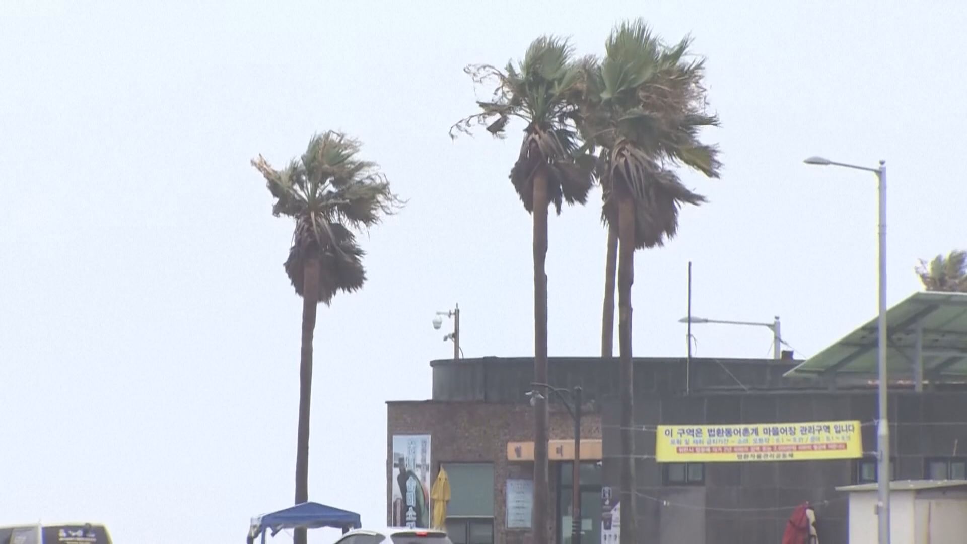 卡努正移向朝鮮半島 南韓濟州等地開始刮大風