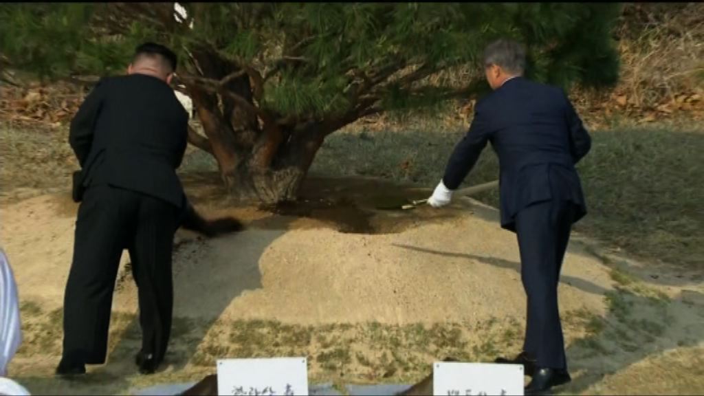 文在寅與金正恩下午會談前一同植樹