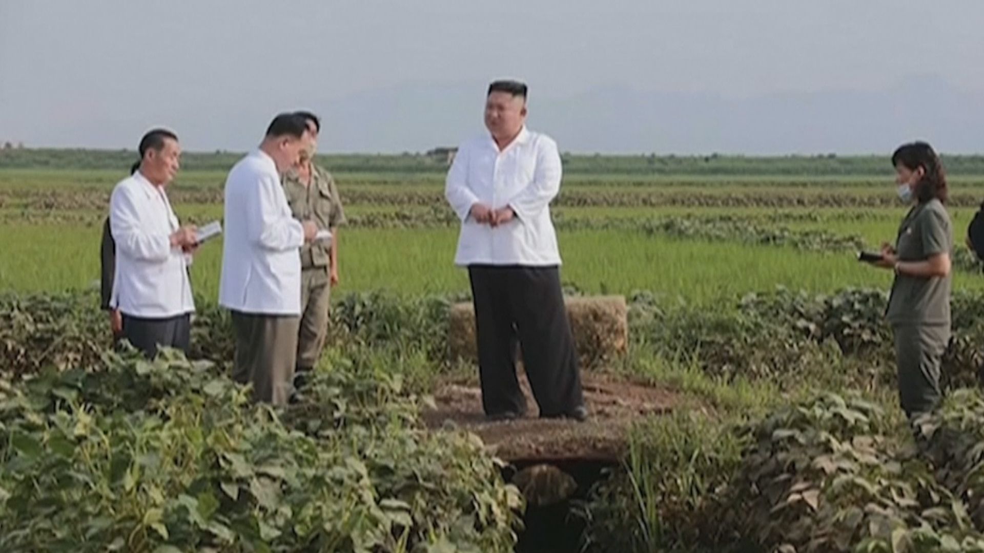 運送金正恩儲備糧食車隊抵洪災災區