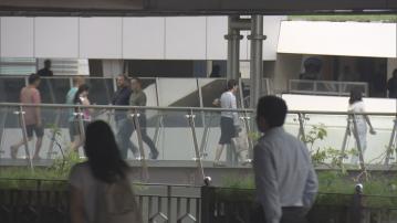 各項人才計劃申請及簽證費　可帶來7億元收入