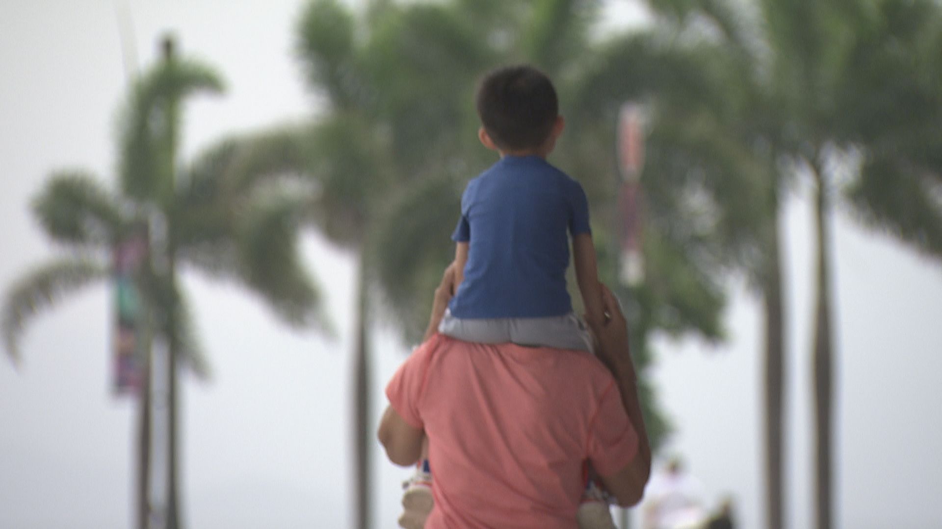 政府收集案例制定強制舉報者指南