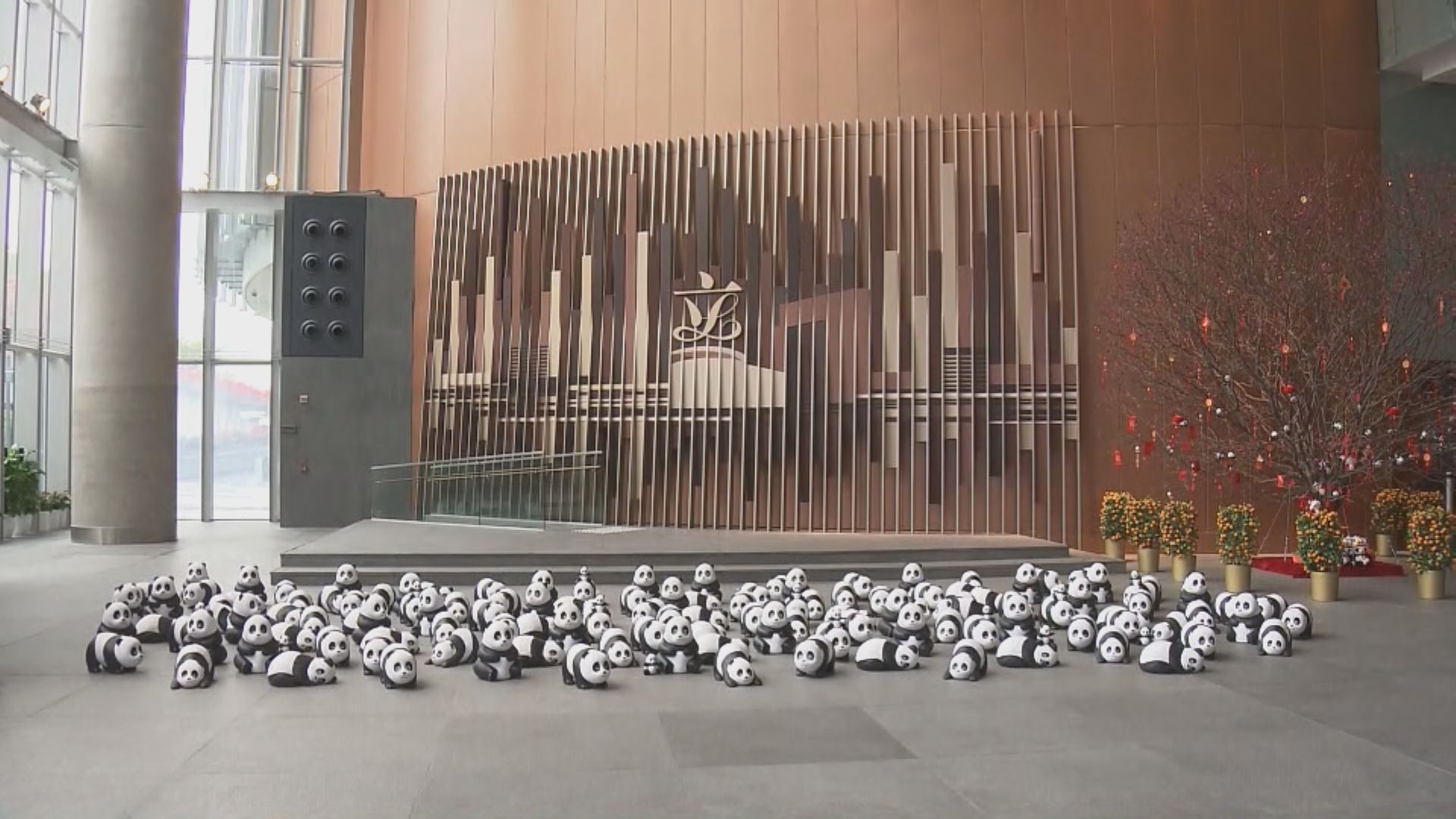 立法會舉辦大熊貓雕塑展覽