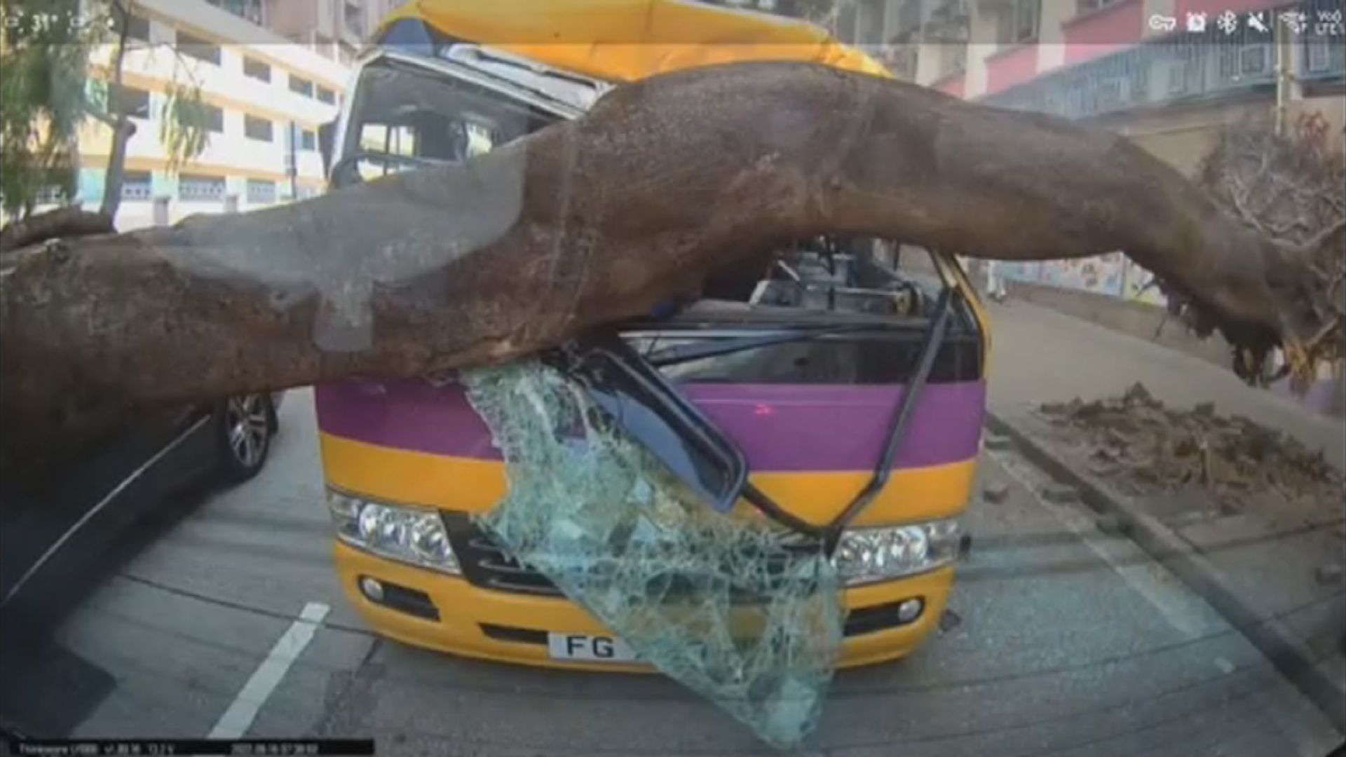 發展局：巴富街塌樹事件接獲兩份索償申請