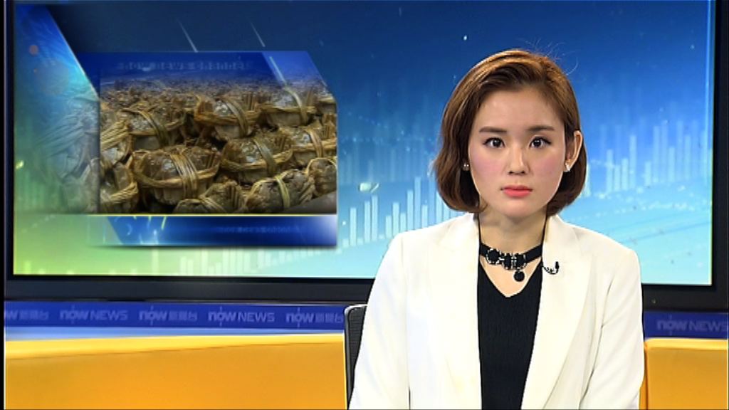 蟹商司法覆核政府禁大閘蟹入口