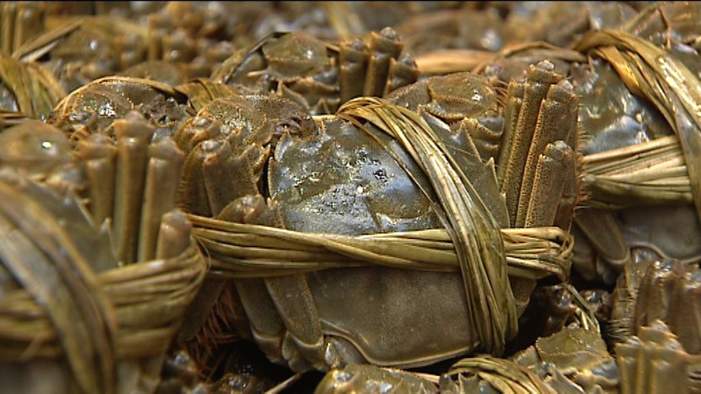 政府承諾改善大閘蟹二噁英檢測機制