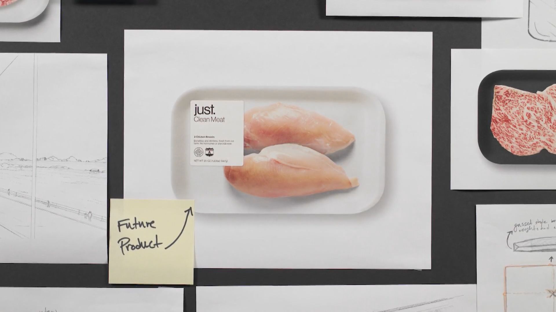 新加坡批准全球首款實驗室培殖雞肉在市面出售