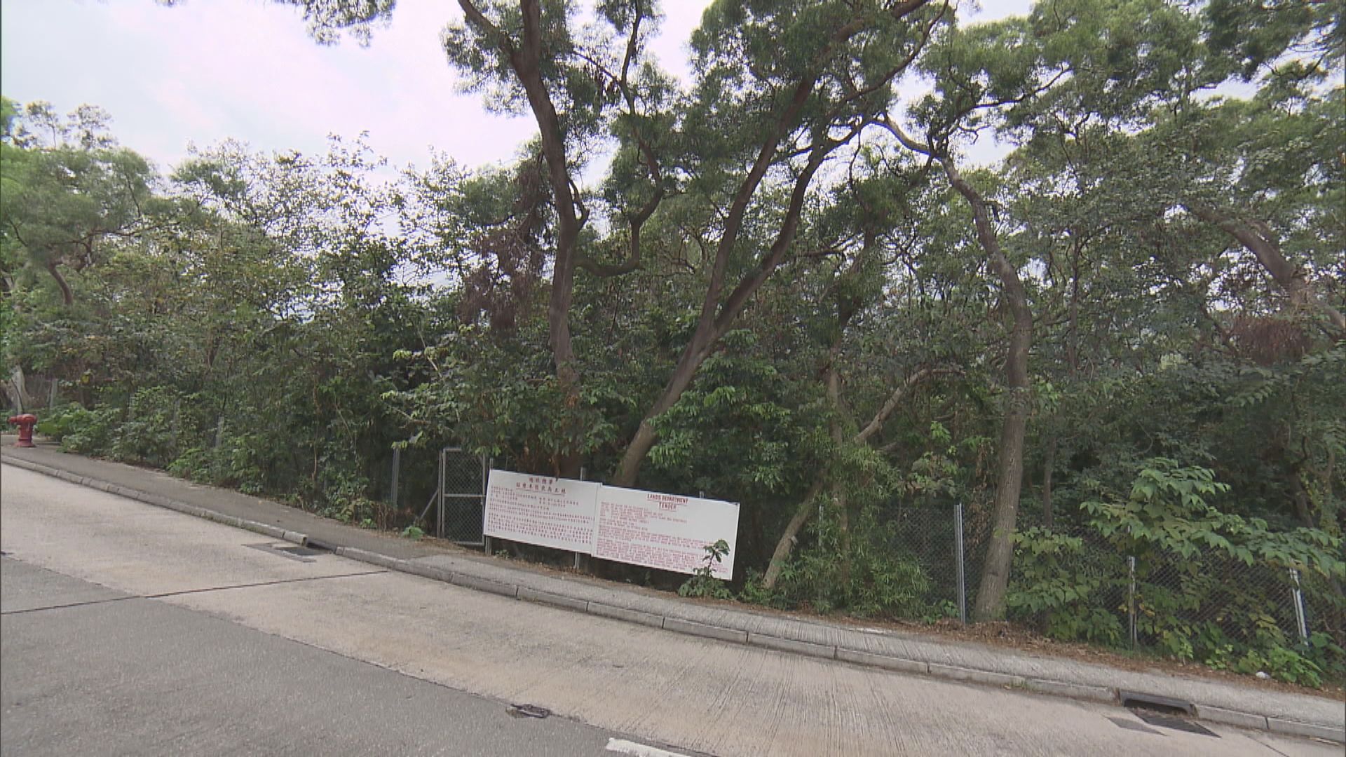 大嶼山長沙住宅地中午截標