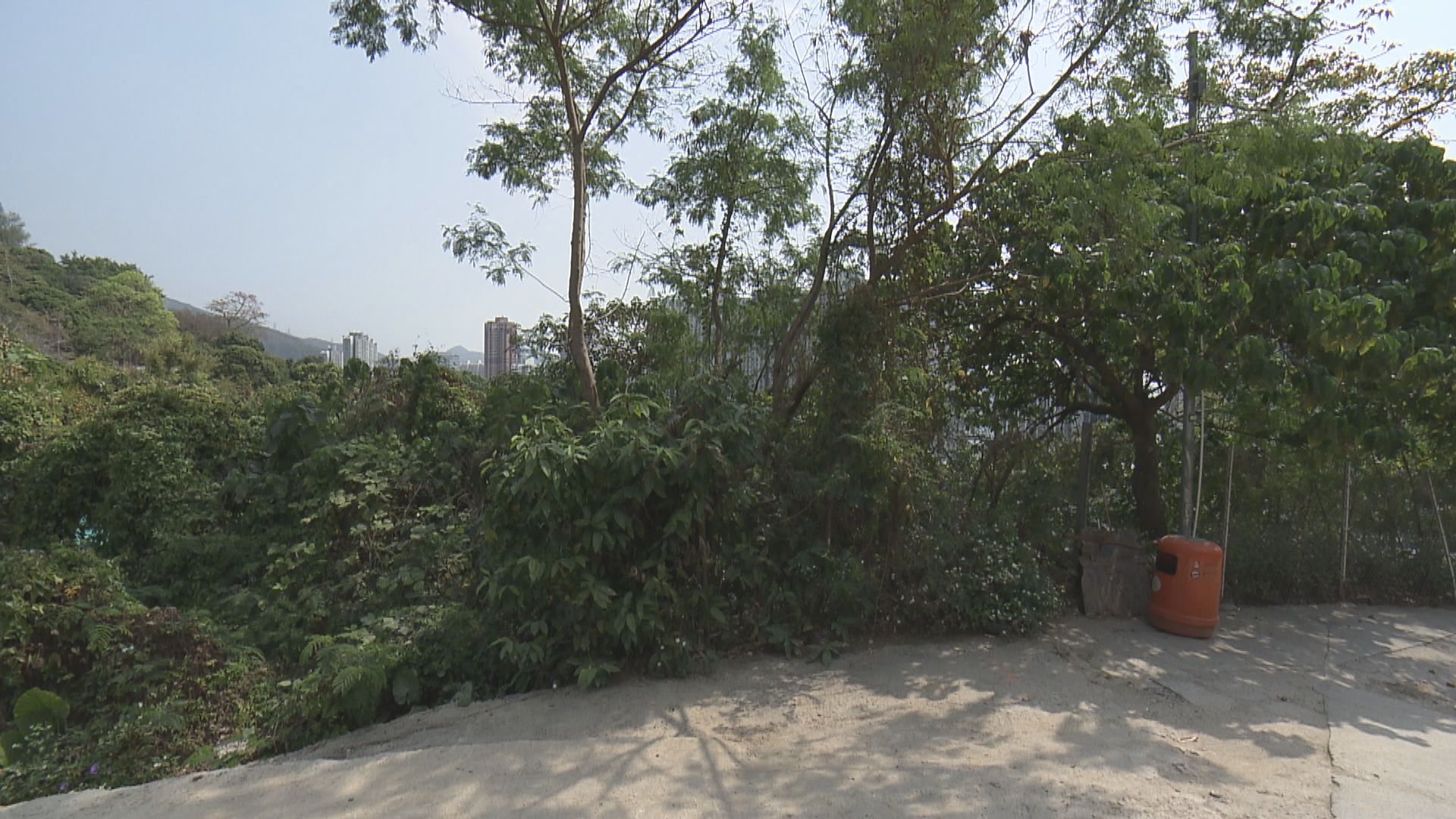 荃灣油柑頭「首置」住宅地中午截標