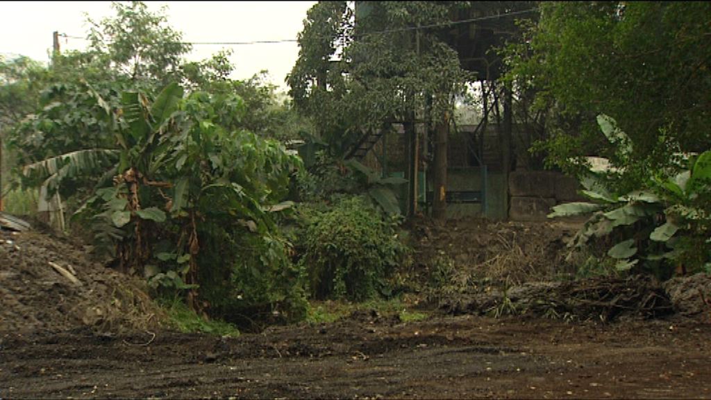 發展局建議清拆津貼延至棕地作業