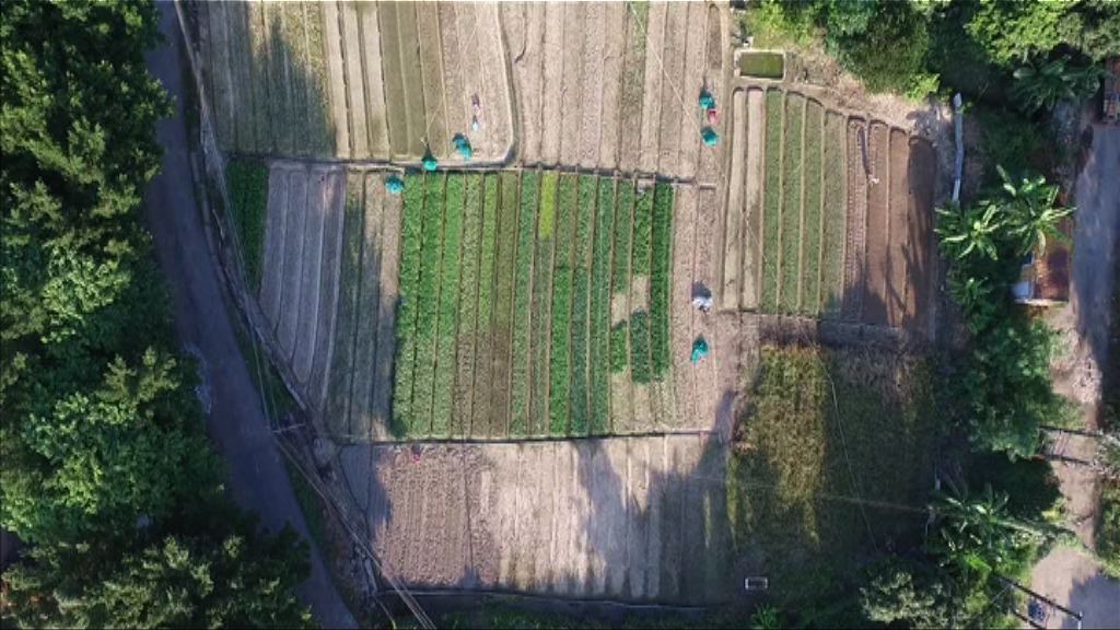 土地供應專責小組料討論私人土地潛力