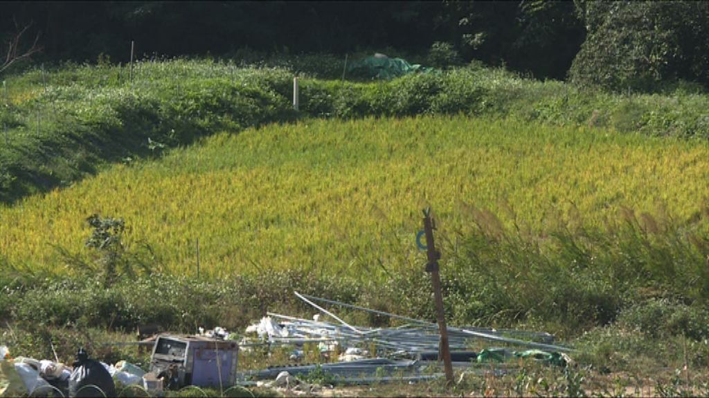 尹兆堅：公私營合作具爭議　惹官商勾結質疑