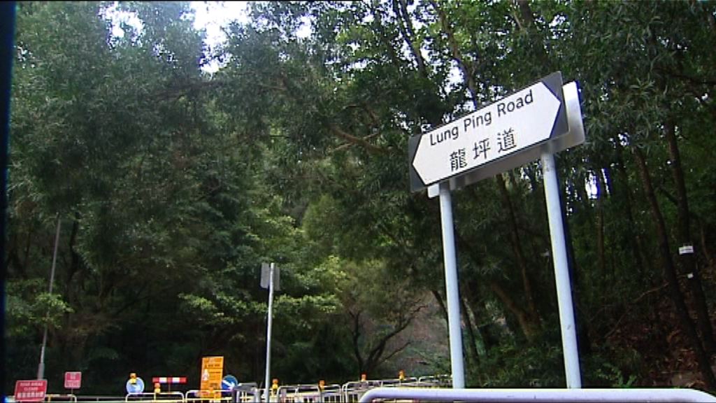 筆架山龍翔道地成九龍新地王