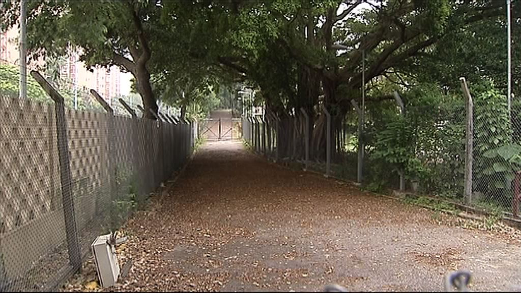 【高於預期】沙田及屯門住宅地以逾50億批出