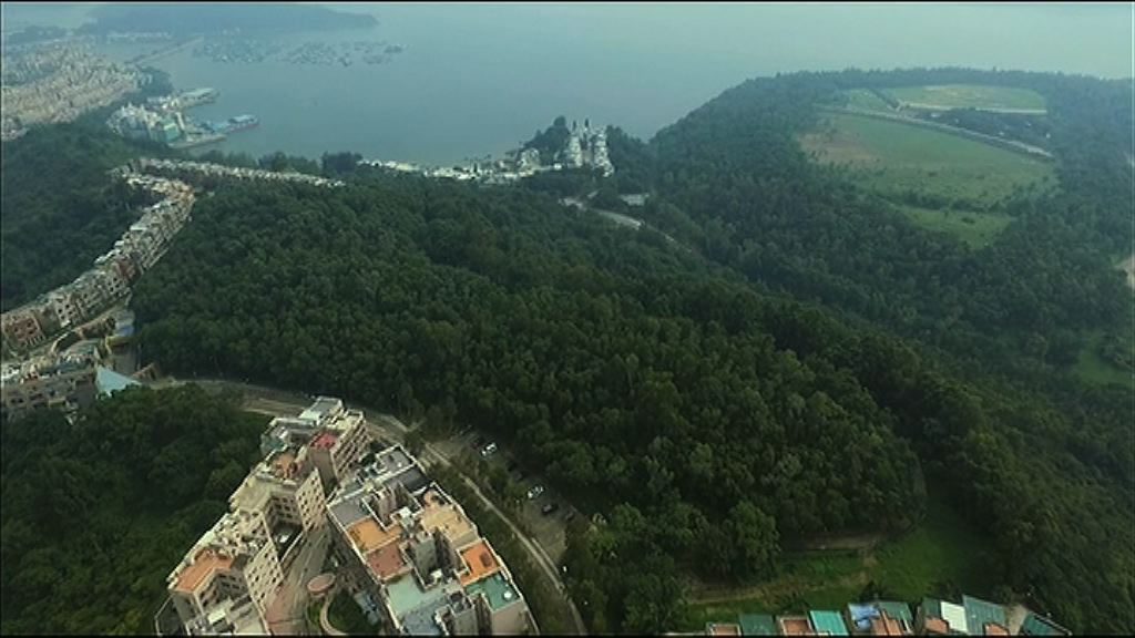 【搶貴逾一成】興業希慎近34奪大埔相連地