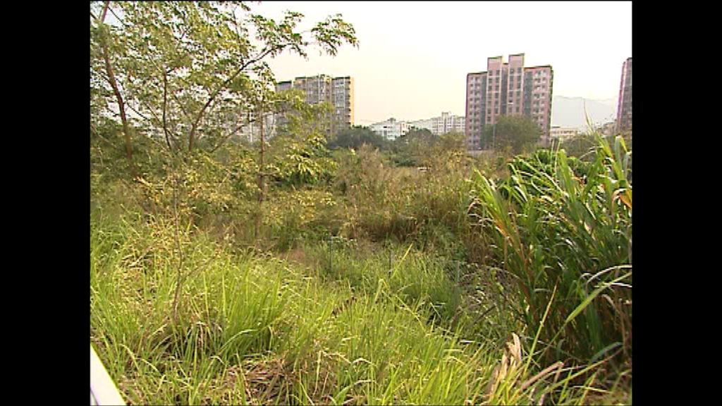 團體指港棕地達近1200公頃