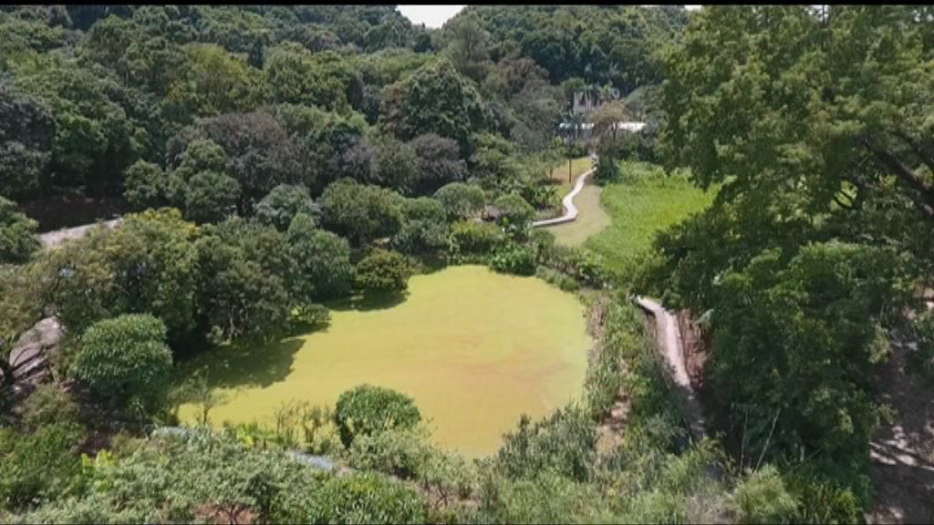 大埔滘逸遙路住宅地中午截標