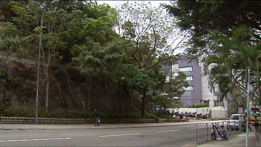 油塘高超道住宅地中午截標