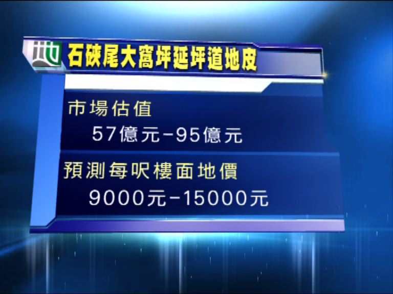 大窩坪延坪道住宅地中午截標