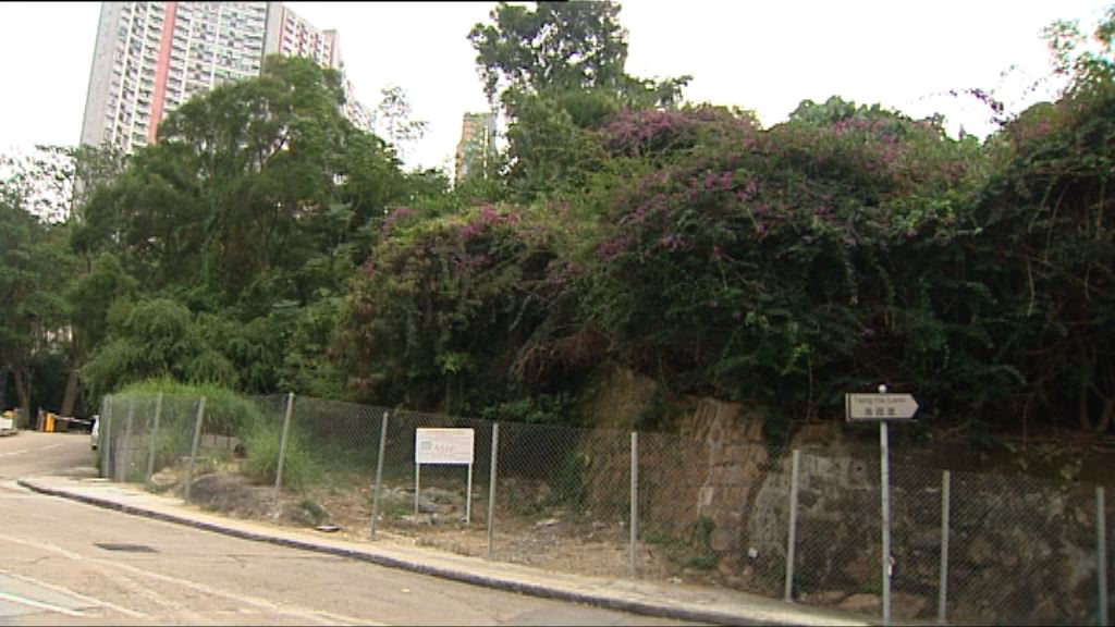 屯門青霞里住宅地中午截標