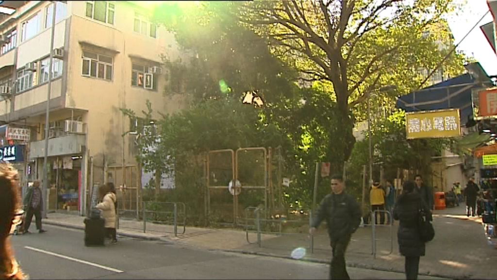 上水新樂街住宅地中午截標