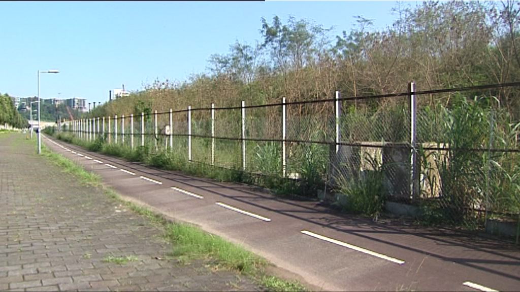 【大石角地】入標財團擬補價加建商場