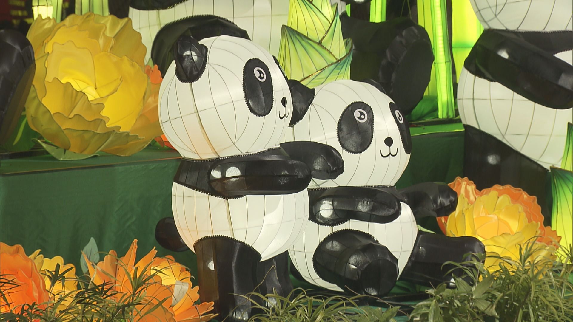 文化中心綵燈會吸引不少人入場　內地客特地來看熊貓綵燈