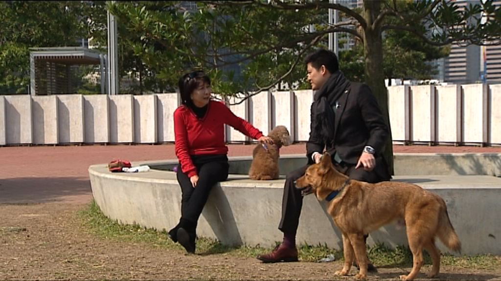蔣麗芸及譚文豪狗年共議動物政策