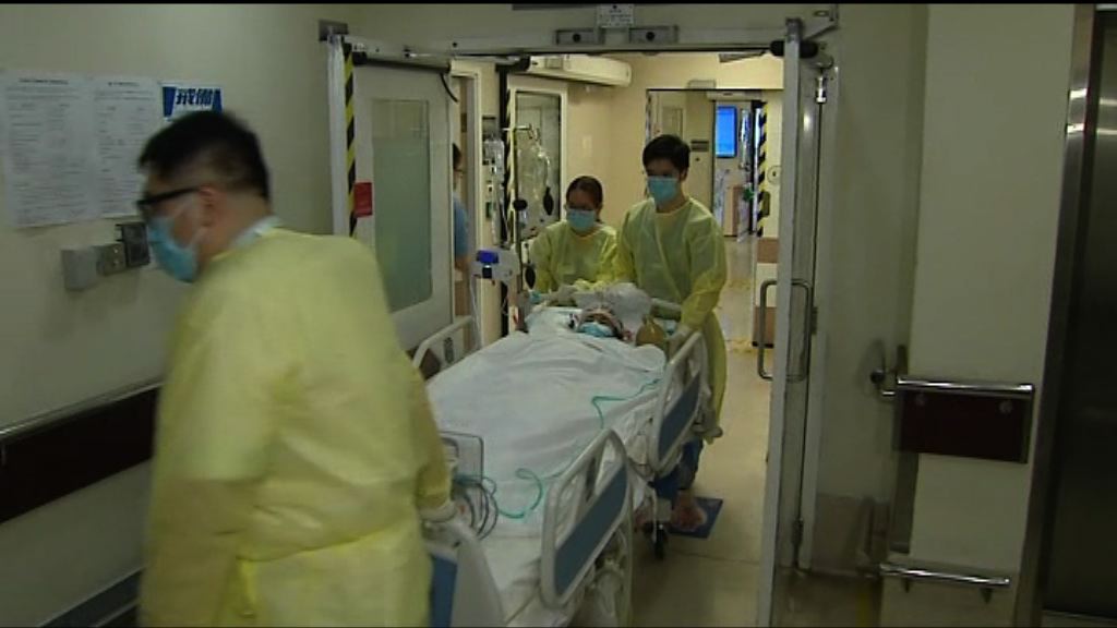 鄧桂思仍危殆　主診醫生指新肝運作良好