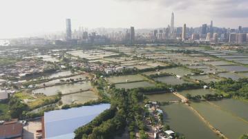 環保署有條件批准新田/落馬洲環評報告 徐浩光︰司法覆核對社會造成傷害