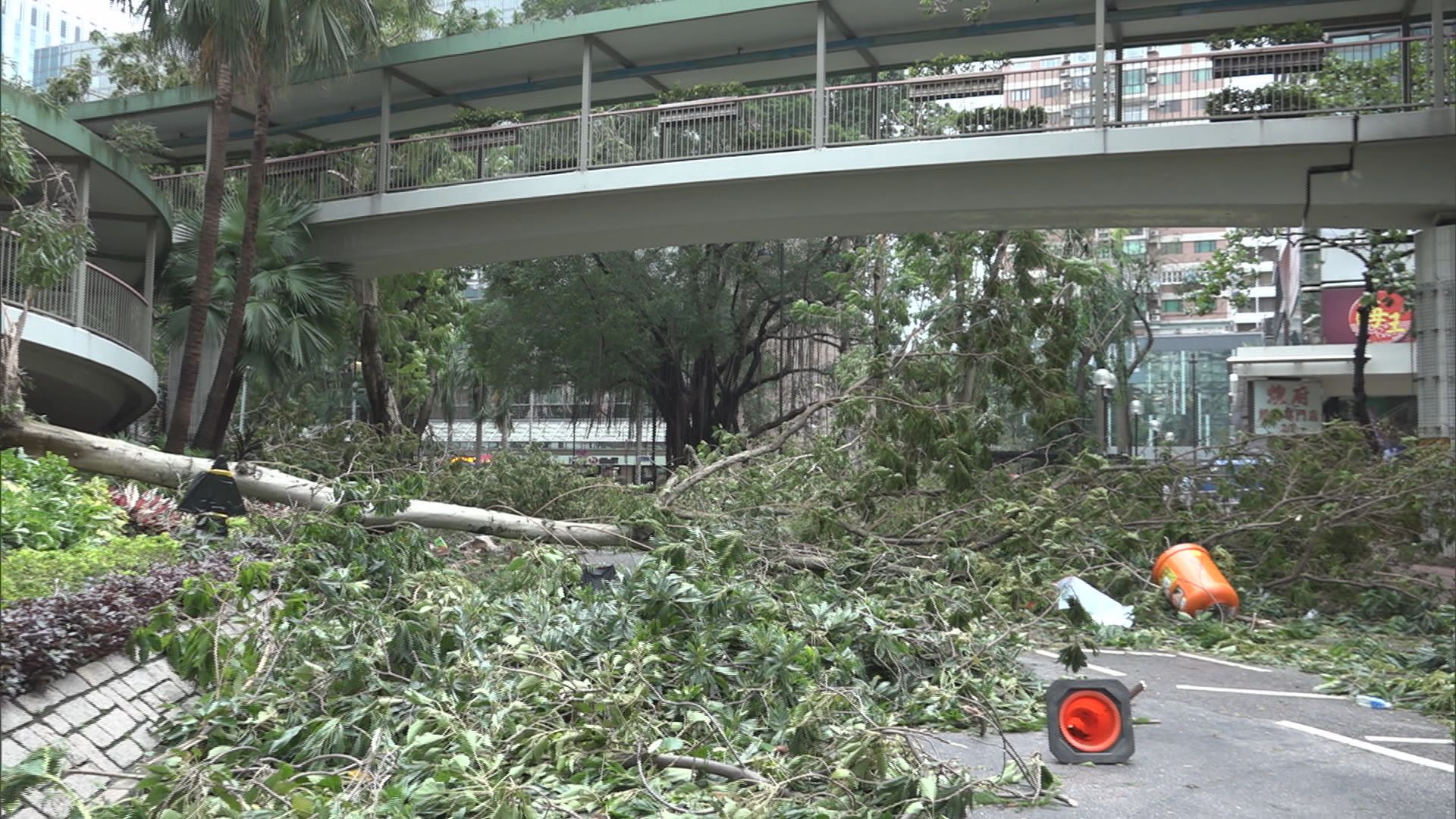 山竹襲港　600多段路有障礙物待清理