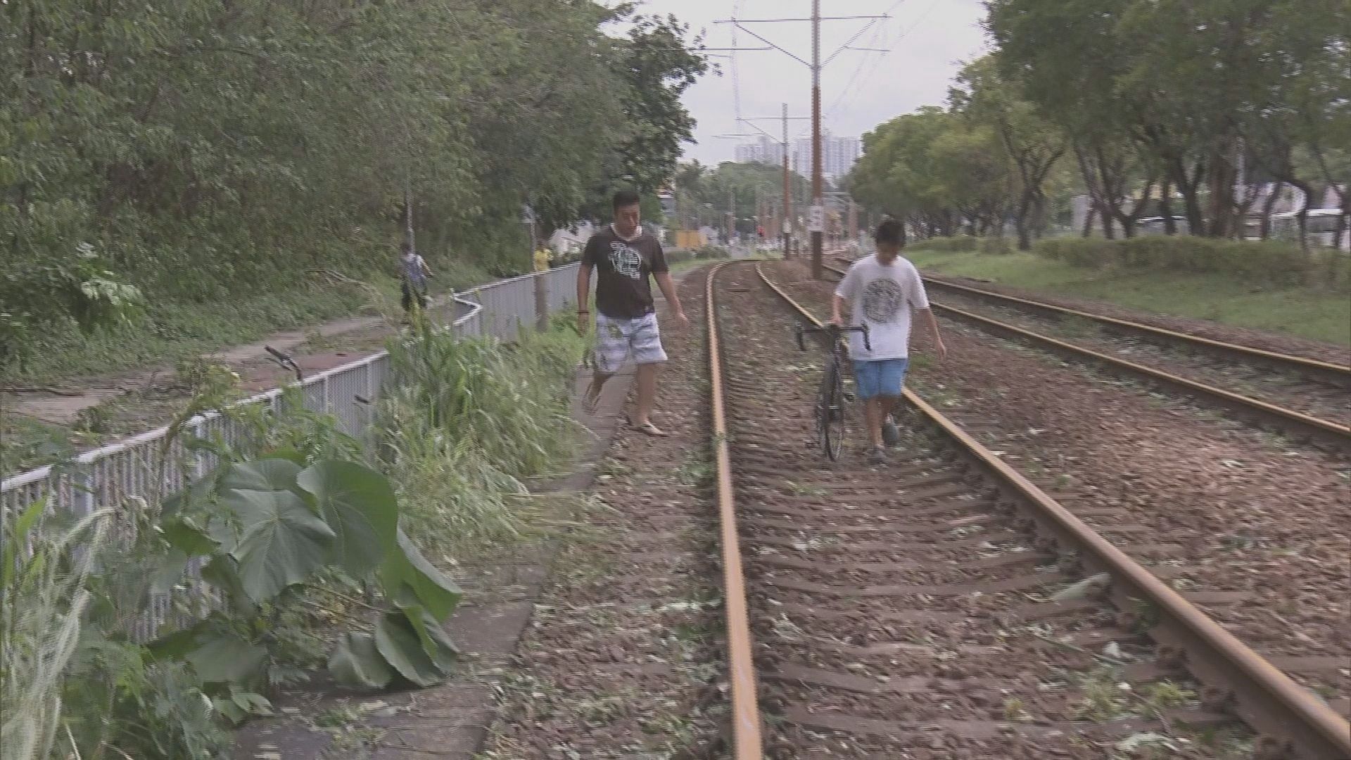 塌樹阻路有市民行路軌返工