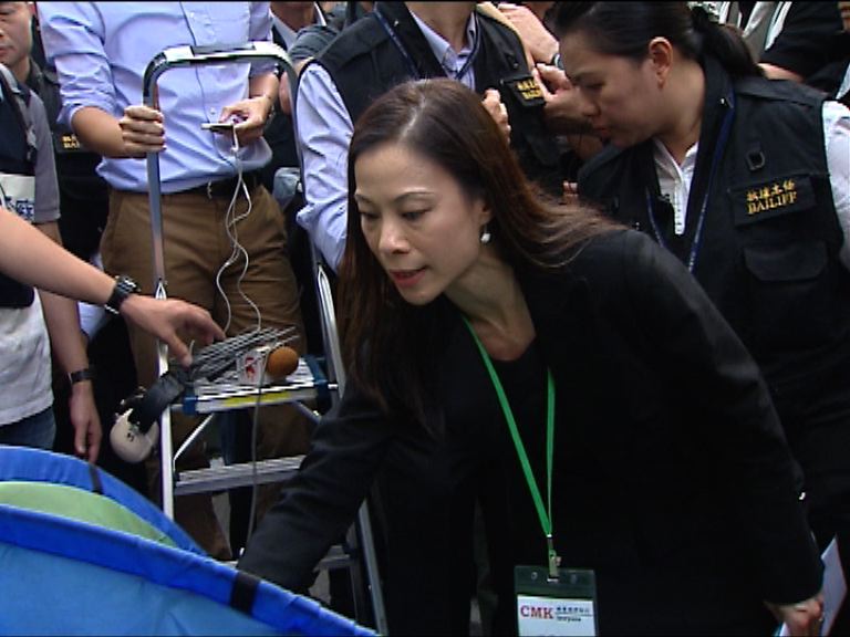 陳曼琪：以曾任城大校董經驗服務嶺大