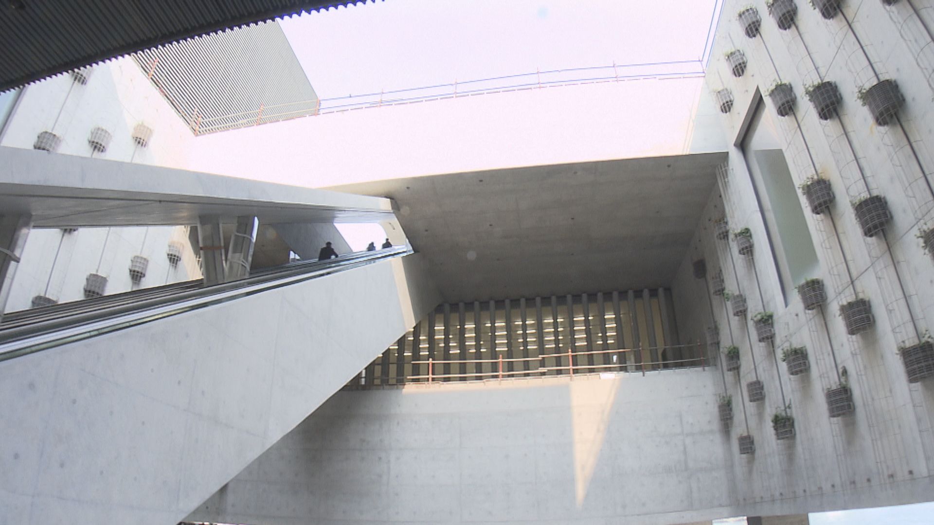 M+博物館將閉館至大年初三