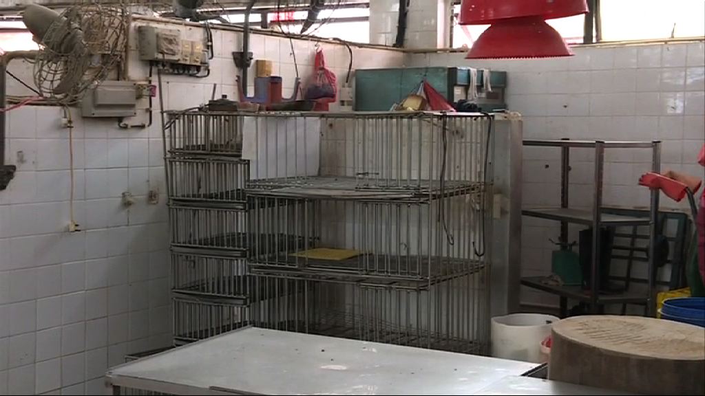 澳門全面停售活家禽