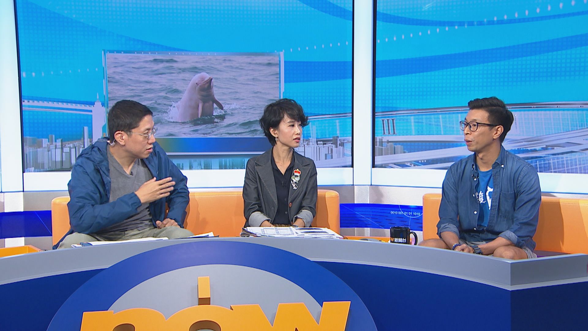 【時事全方位】白海豚數目跌環評制度有漏洞