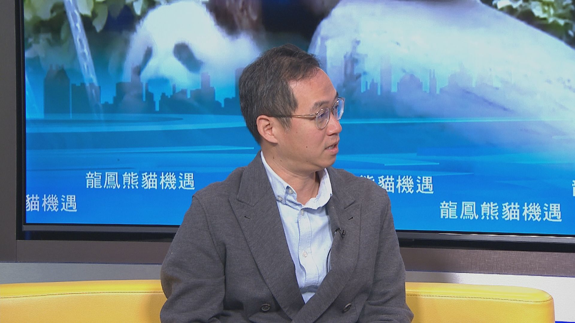 龐建貽：周日逾5000人次探訪大熊貓寶寶　首日逾萬人提交命名