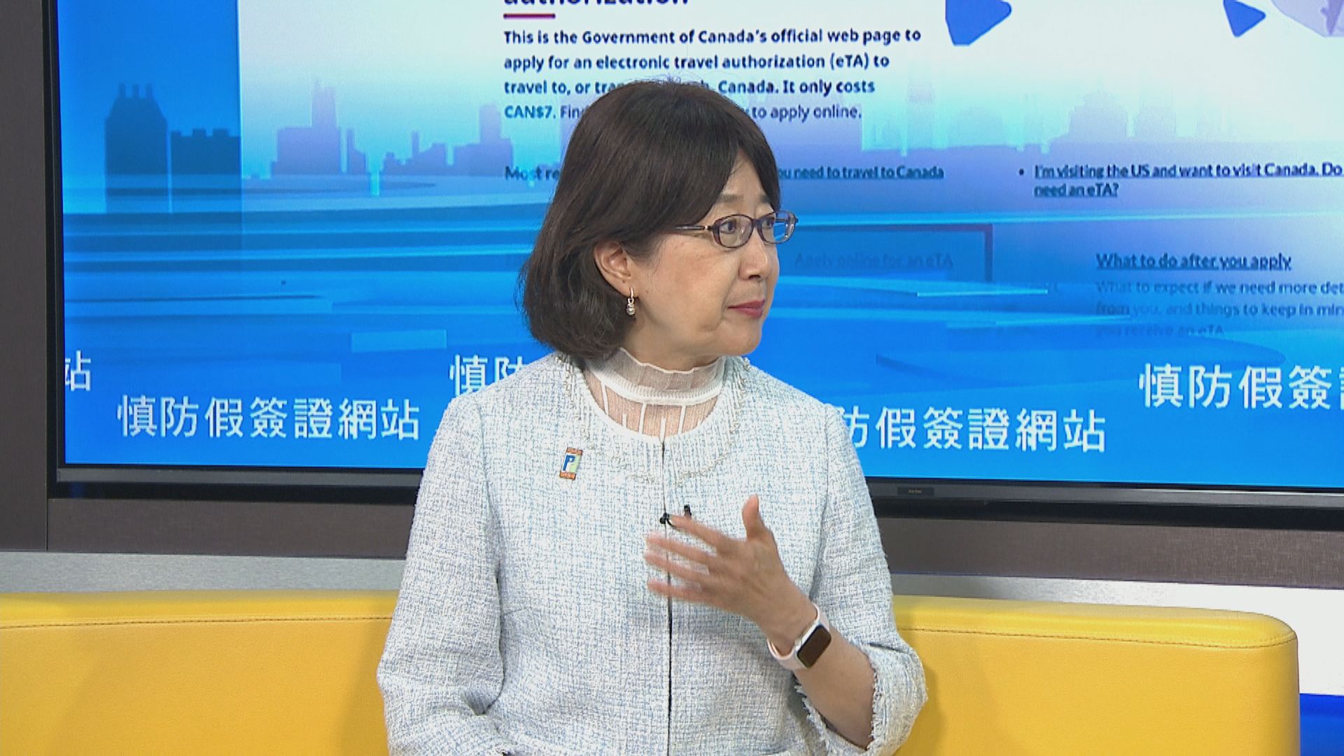 私隱署接多宗懷疑假冒電子簽證網站查詢　鍾麗玲︰勿盡信搜尋引擎置頂結果