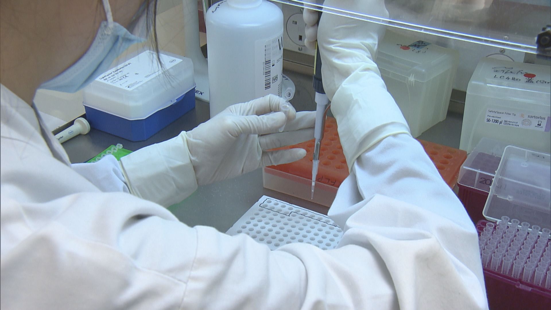 香港醫學化驗所總會：混合樣本方式助加快檢測速度