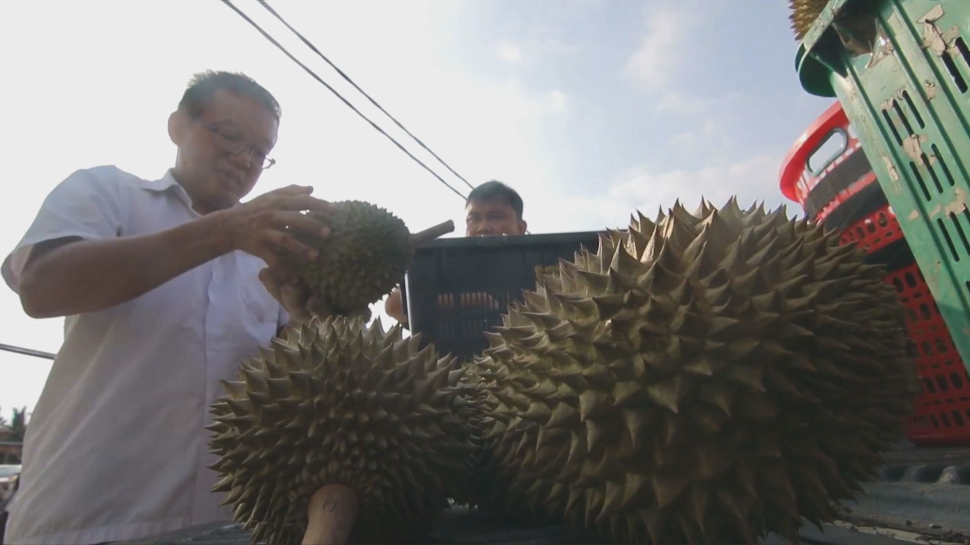 內地對榴槤需求大增令價格暴漲