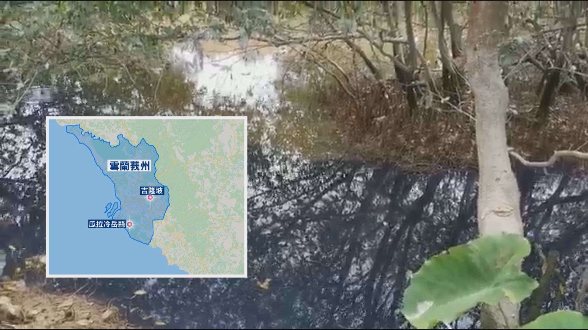 【本台調查】港資公司馬來西亞設廠　疑排放污水影響民居