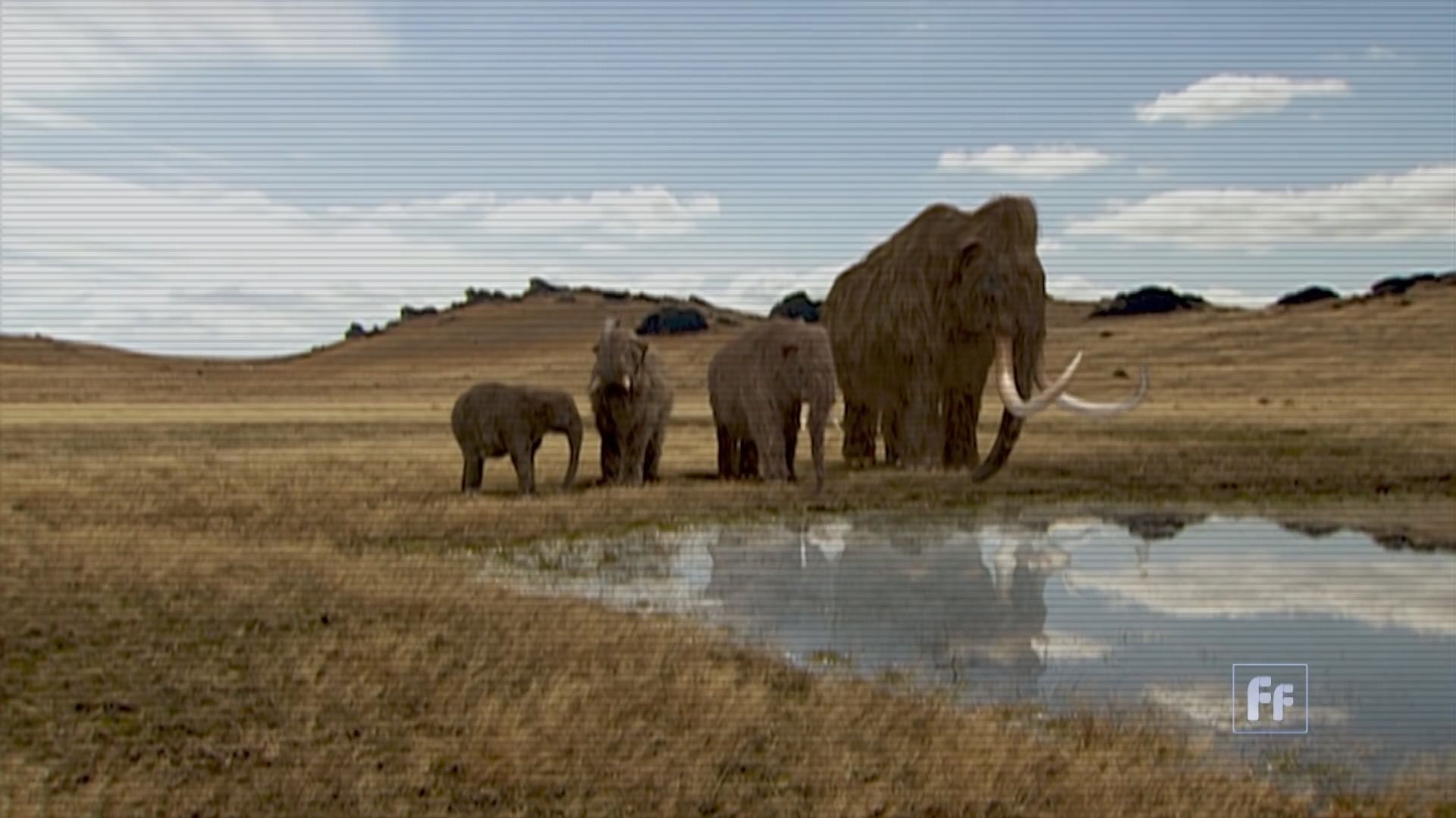美生物科技公司冀以基因編輯令長毛象「復活」
