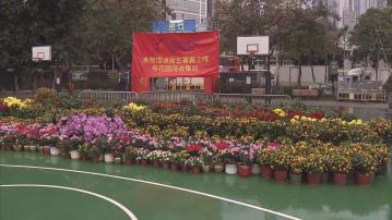 各區年宵市場早上七時結束