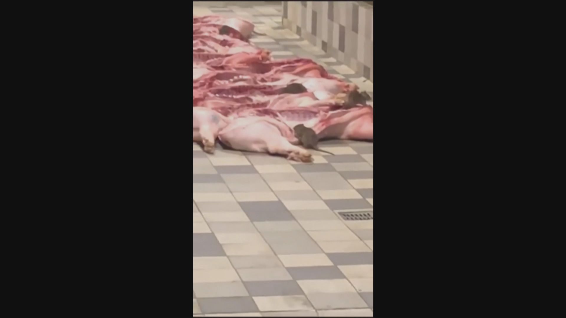 秀茂坪街市老鼠食豬肉　領展勒令檔戶停業