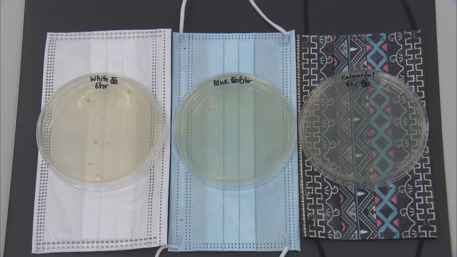 測試顯示印花口罩的彩色顏料不會助長細菌滋生