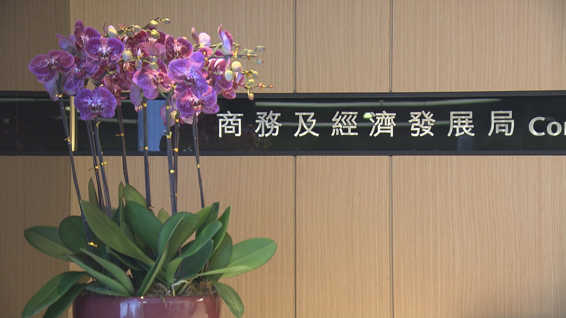 商經局稱三元包銷一個口罩屬假設