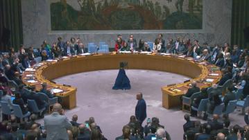 美國否決巴勒斯坦成為正式聯合國成員國決議草案