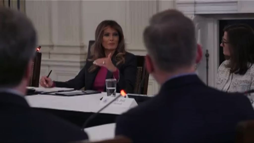 美國第一夫人今年轉趨高調